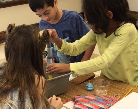 Students work on science experiment